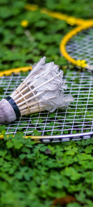 Pixel 3 Badminton Background — 20:9 वॉलपेपर