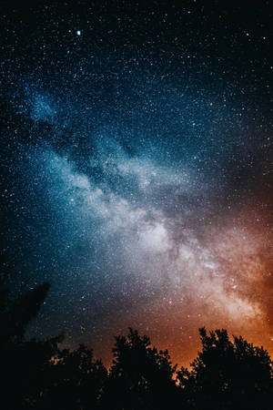 हाई रेज़ोल्यूशन तारा और पेड़ — 小米 Pad 7 Ultra वॉलपेपर